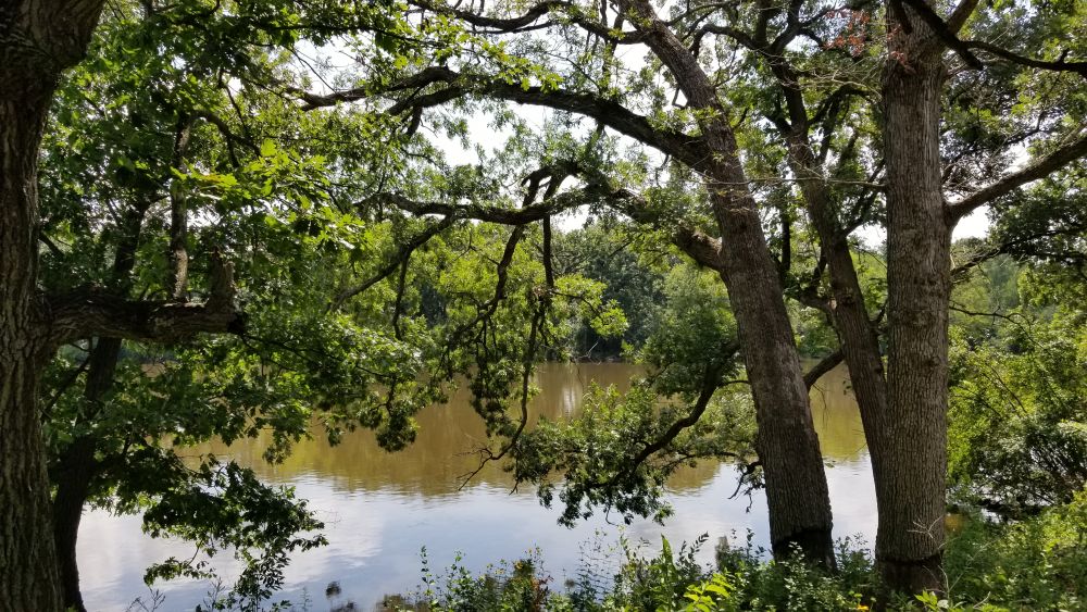 Outlook