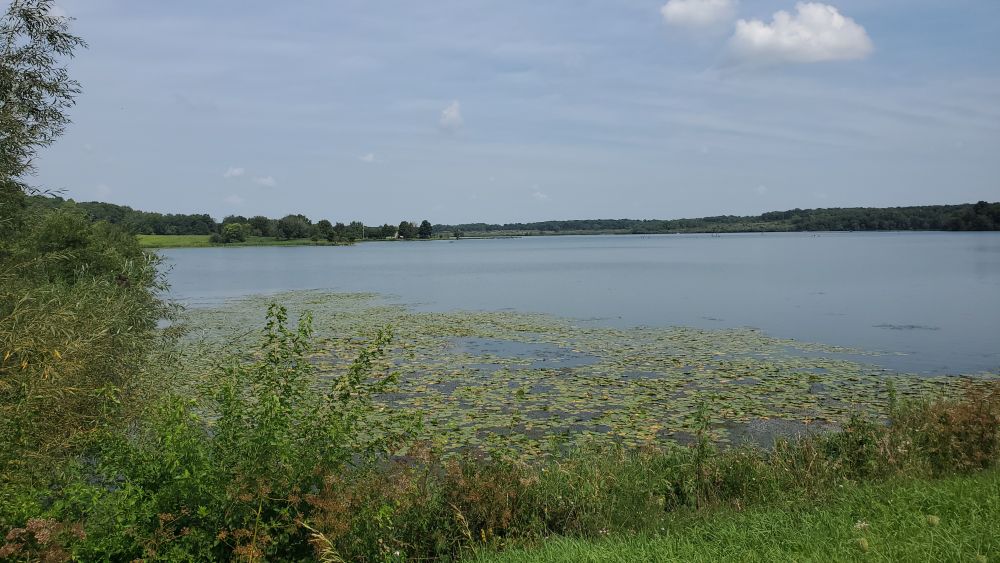 Outlook
