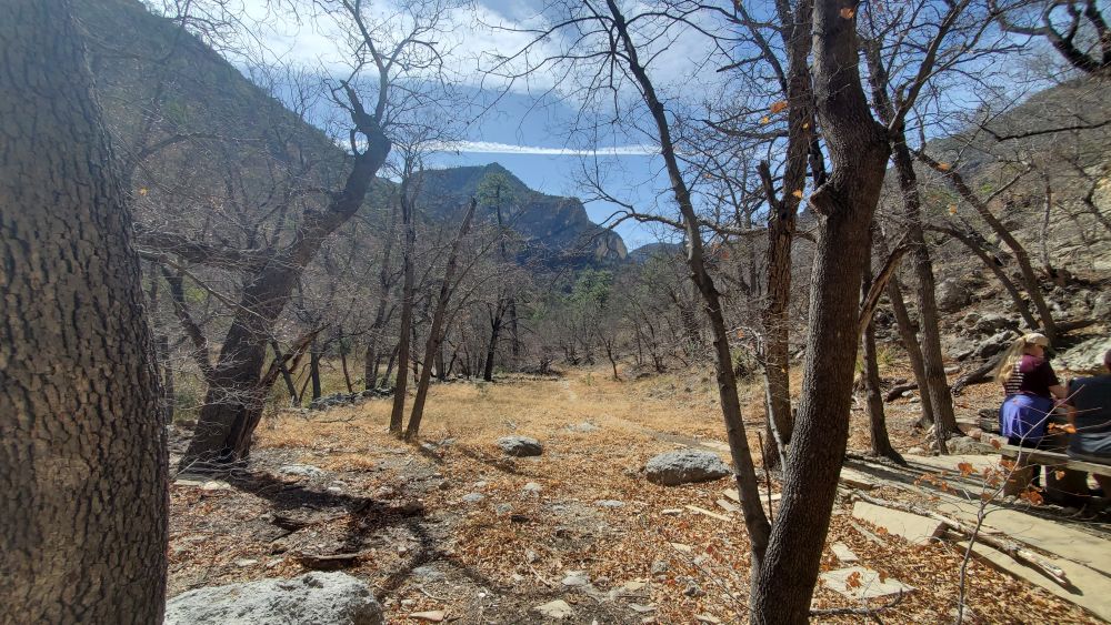Outlook