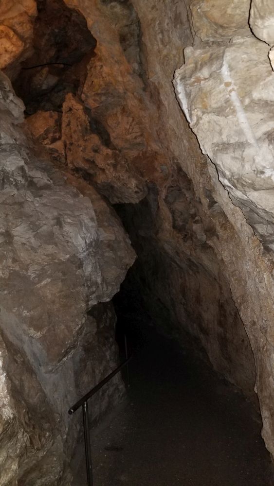 Outlook