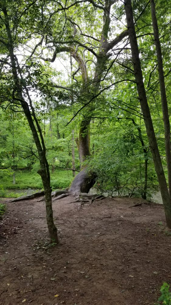 Outlook