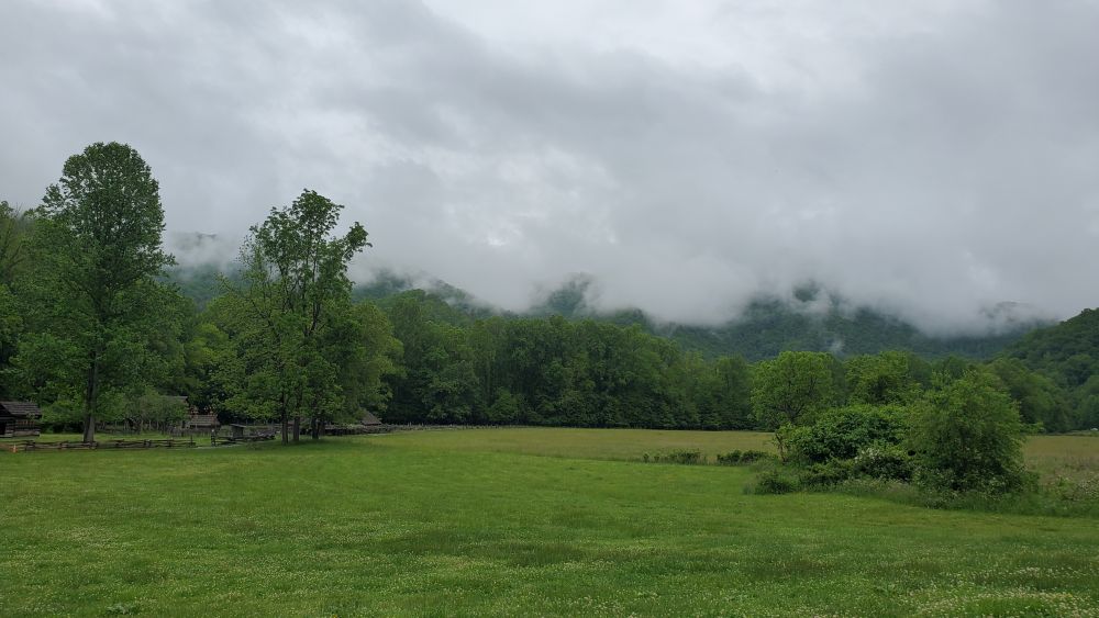 Outlook