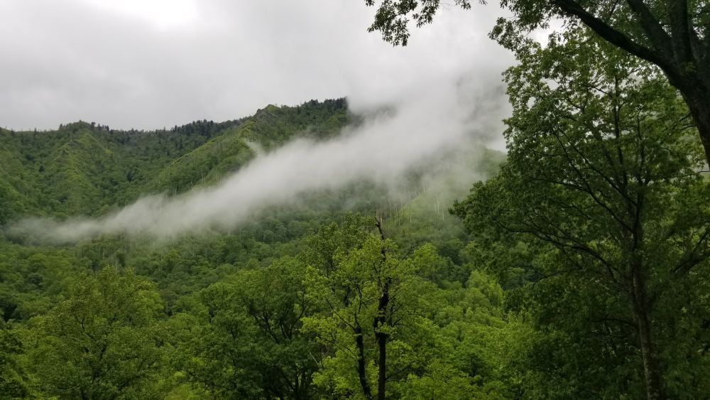 Outlook