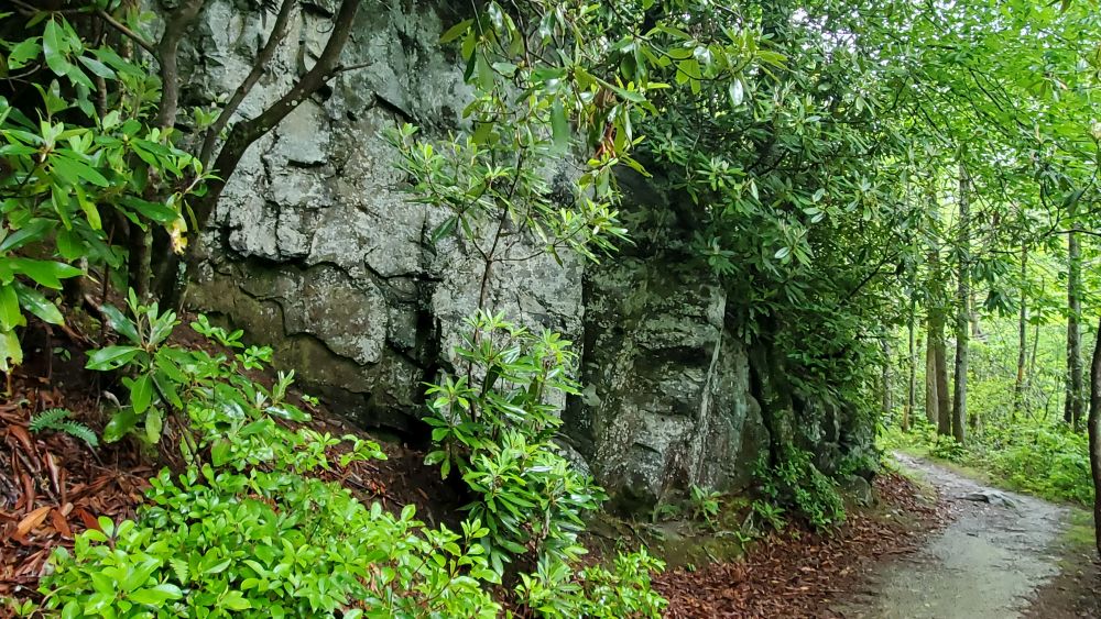 Outlook