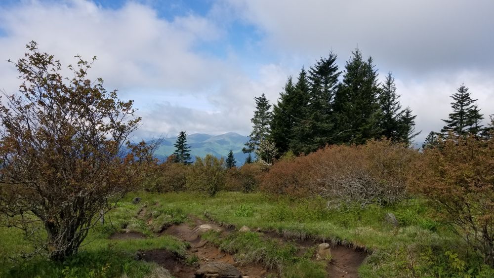 Outlook