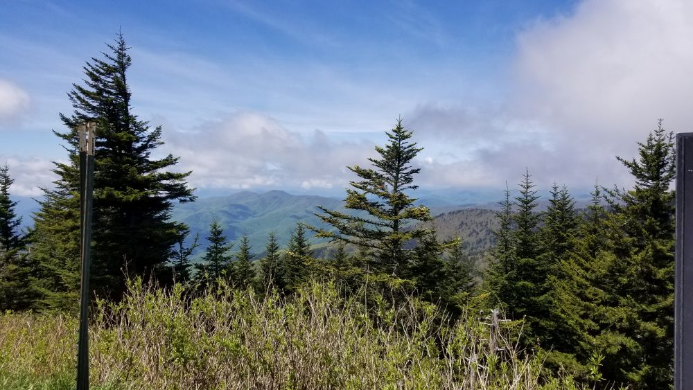 Outlook