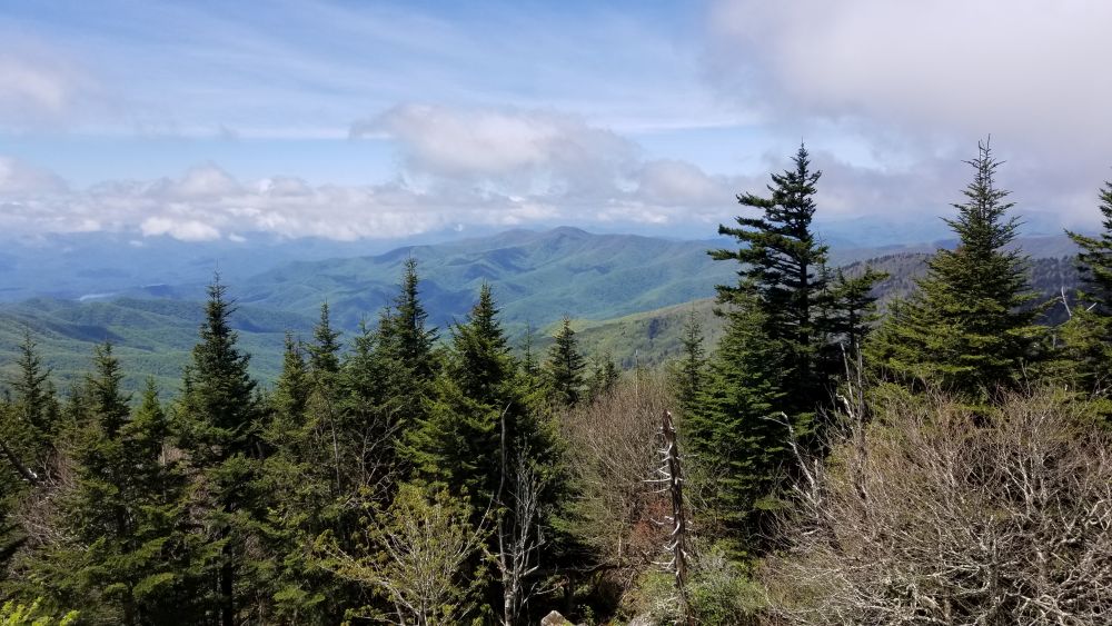 Outlook