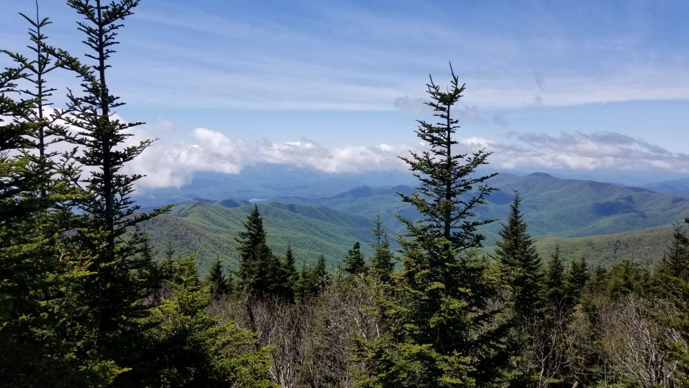 Outlook