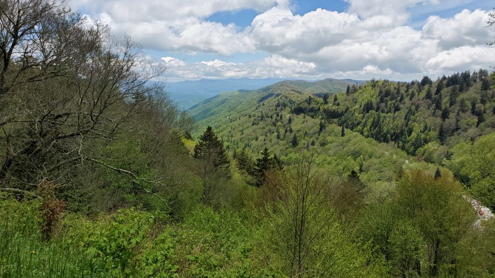 Outlook