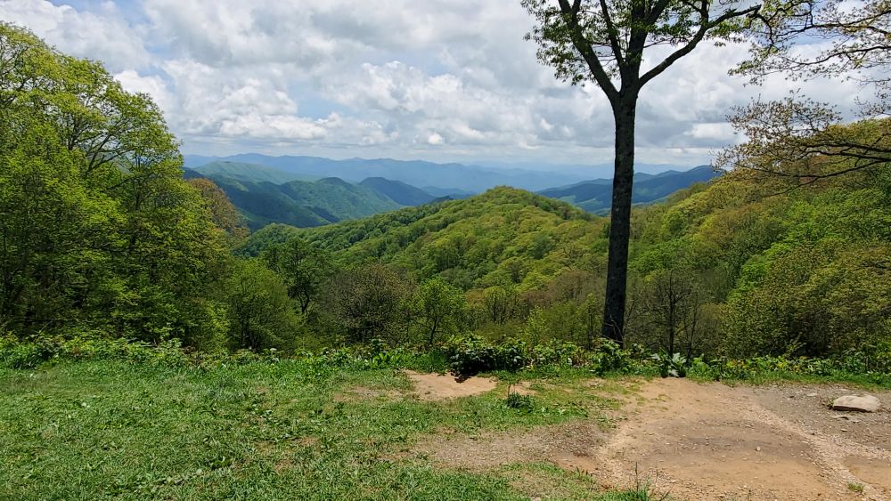 Outlook