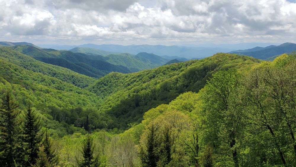 Outlook