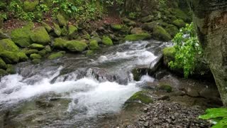 Kephart Prong Trail