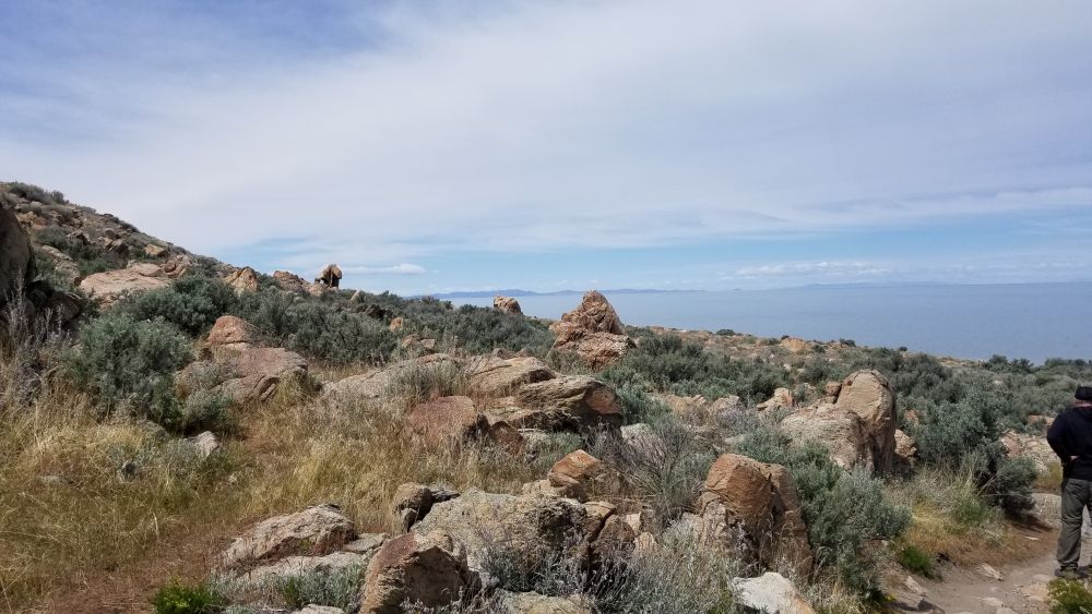 Outlook