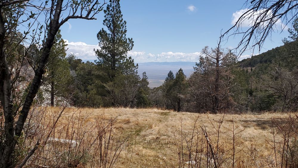 Outlook