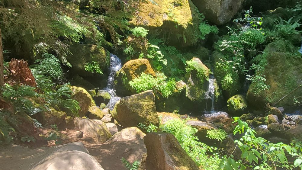 Outlook