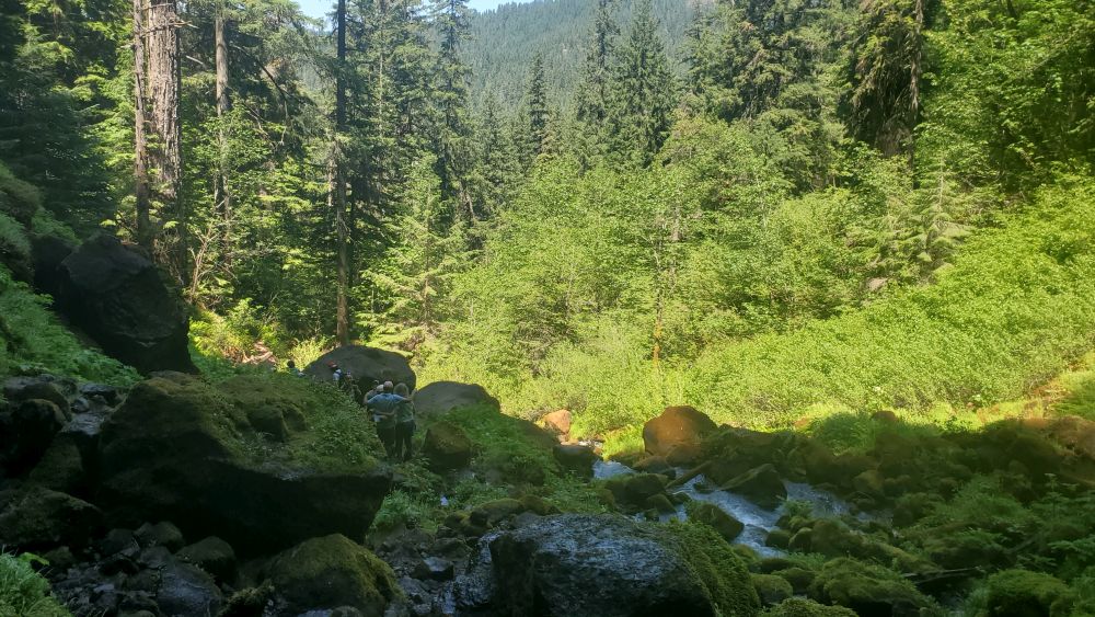 Outlook