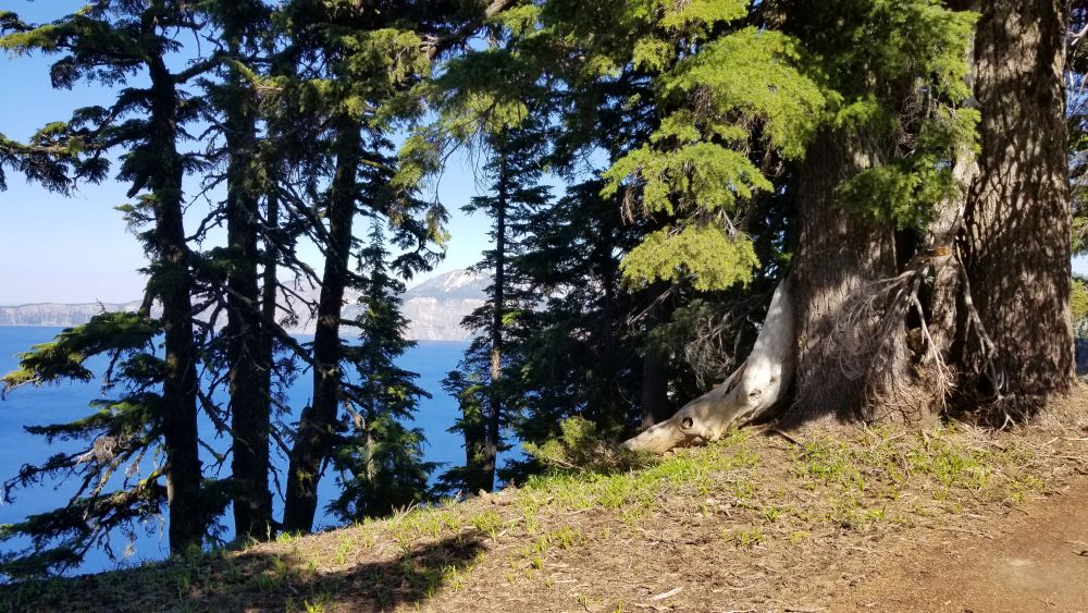 Outlook