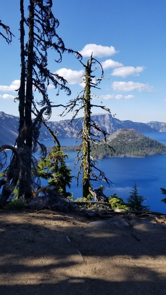 Outlook