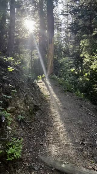 Annie Creek Hike