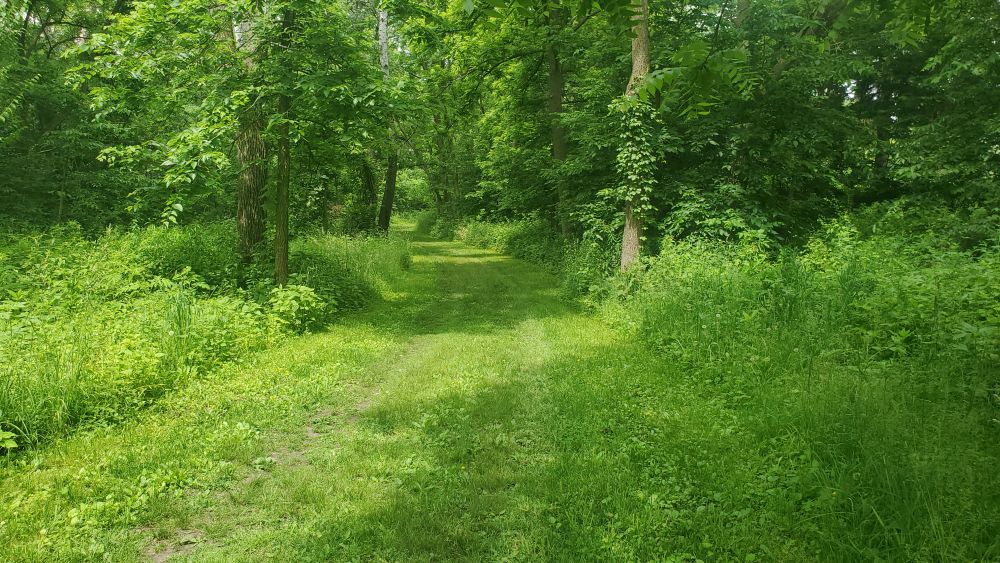 Outlook