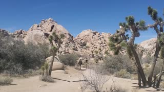 Barker Dam Hike