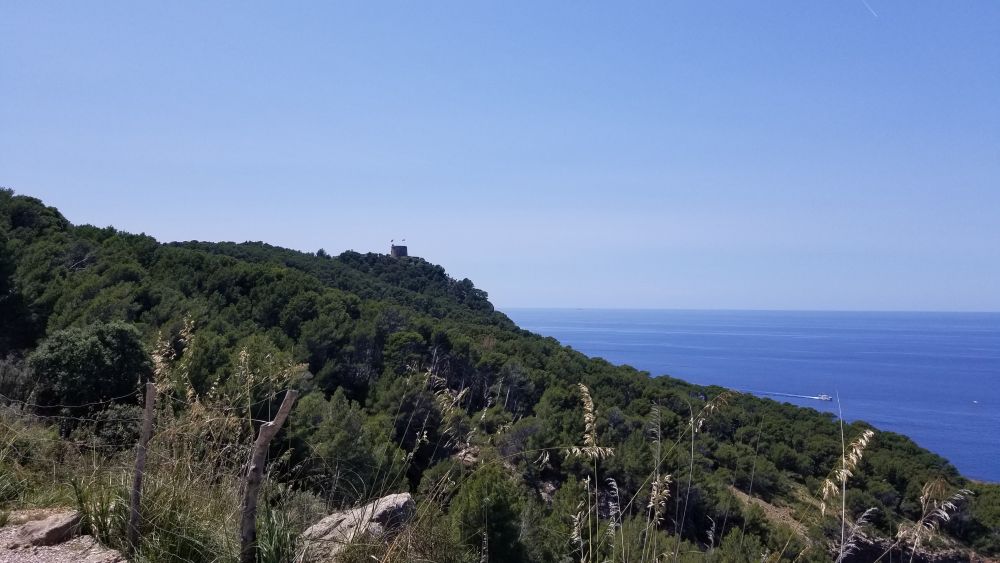 Outlook