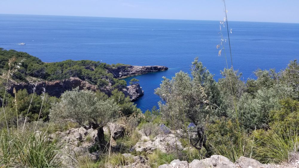 Outlook