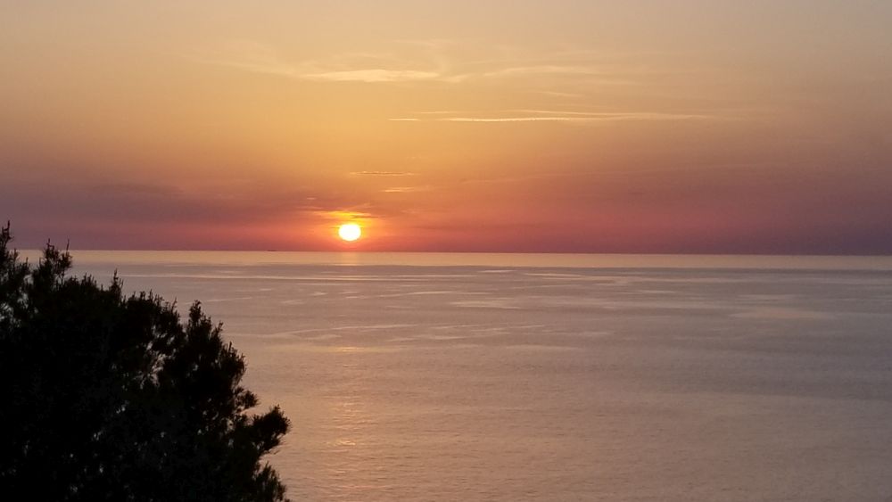 Outlook