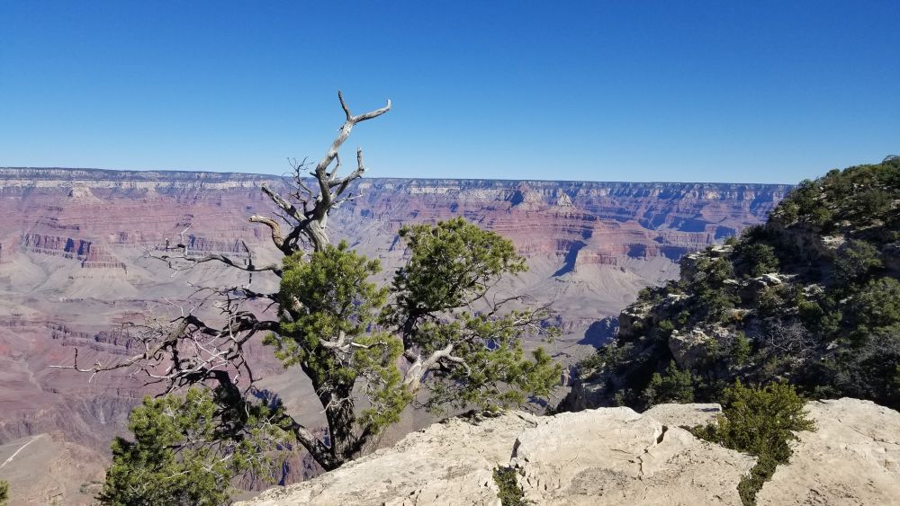 Outlook