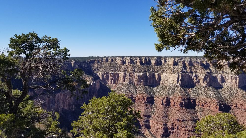 Outlook