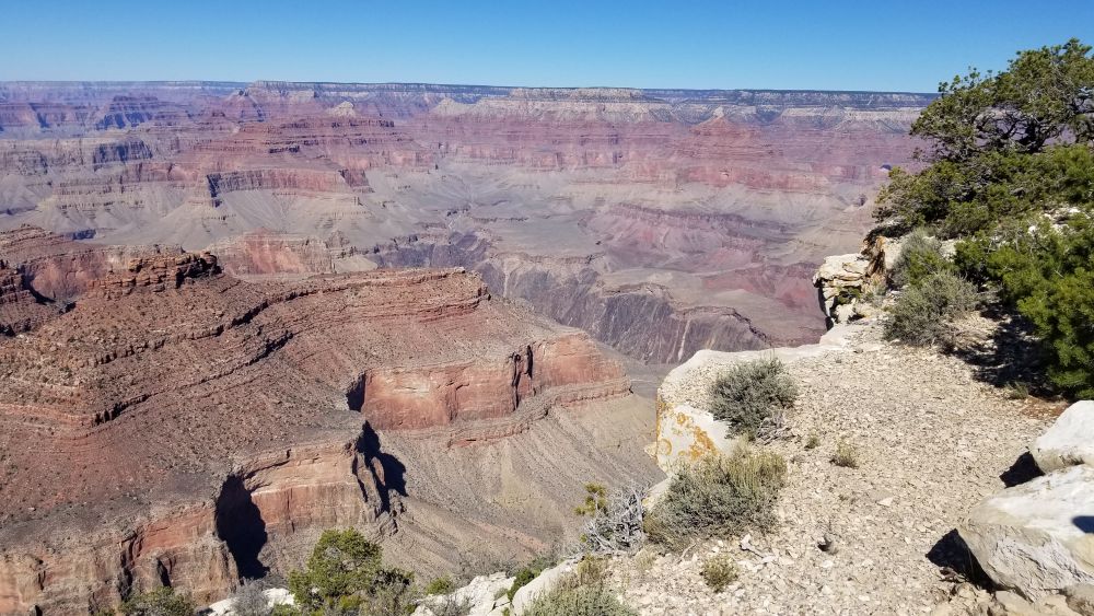 Outlook