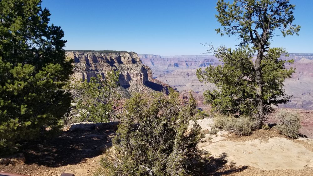Outlook