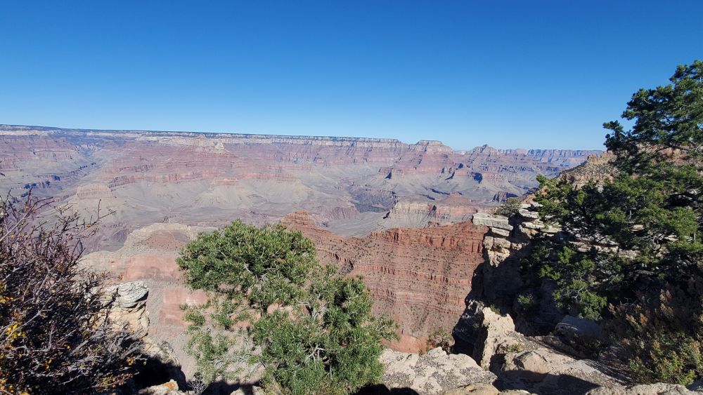 Outlook