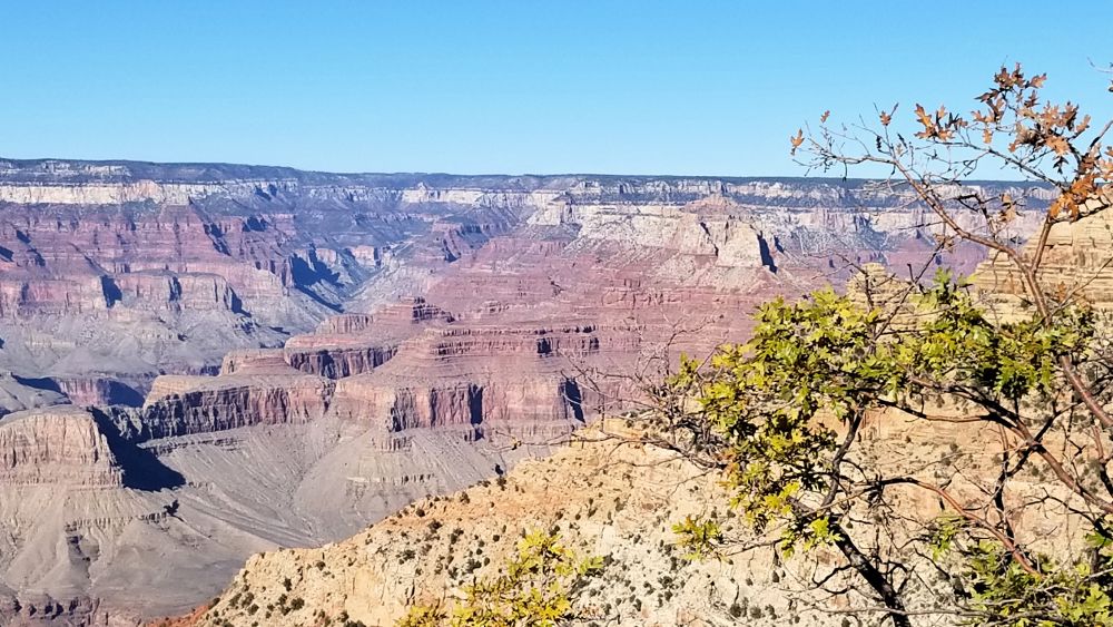 Outlook