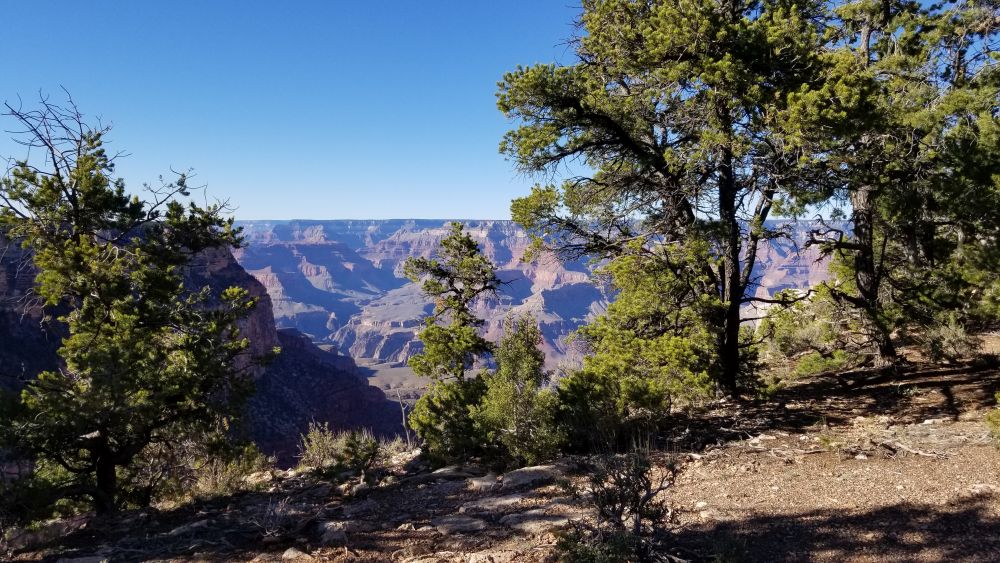 Outlook