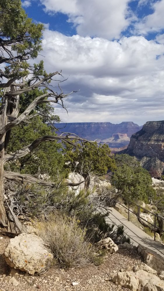 Outlook
