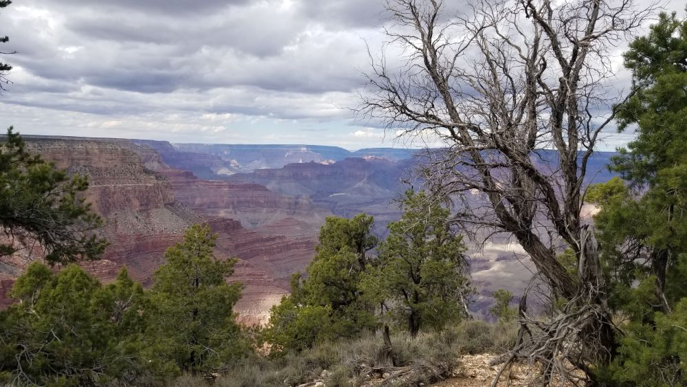 Outlook