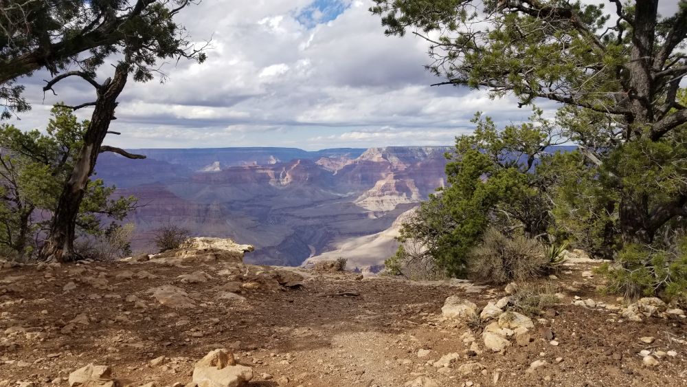 Outlook