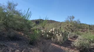 Thunder Bird Trail