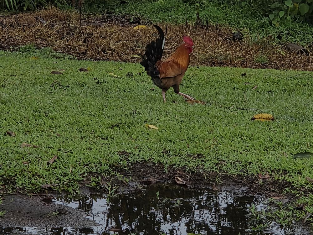 Outlook