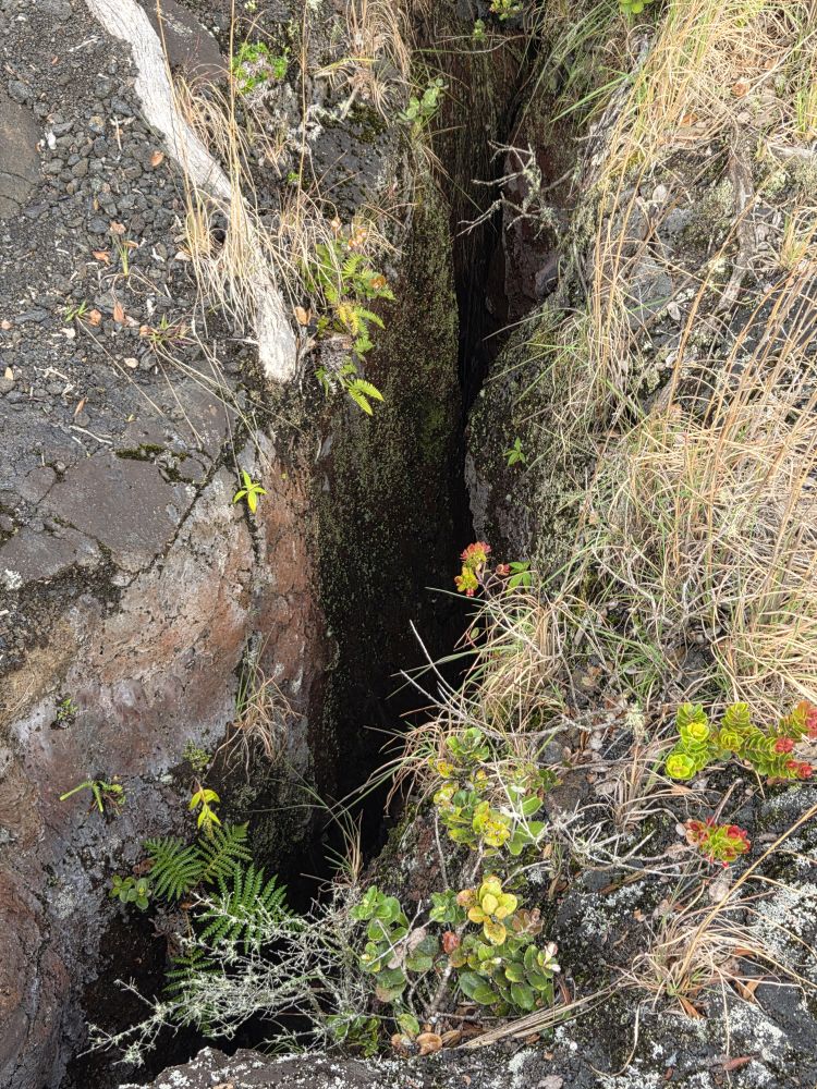 Outlook