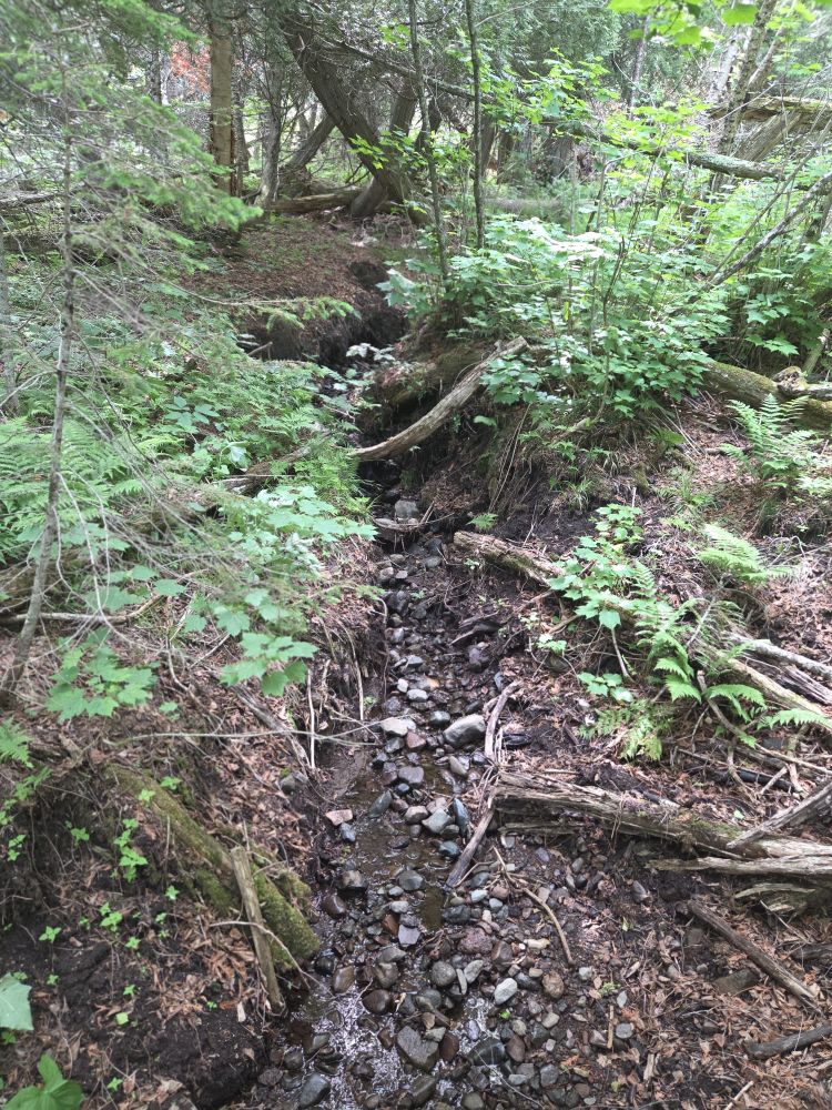 Isle Royale National Park