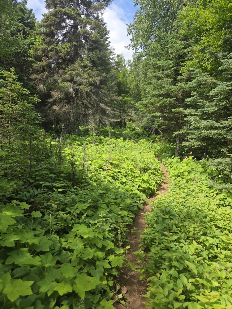 Isle Royale National Park