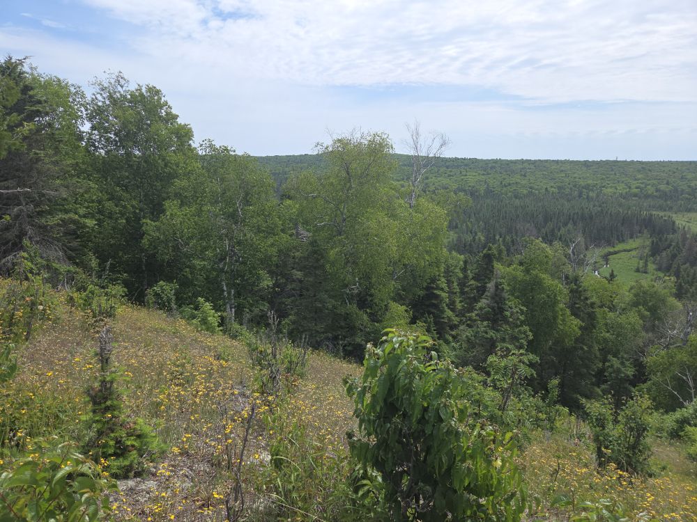 Isle Royale National Park