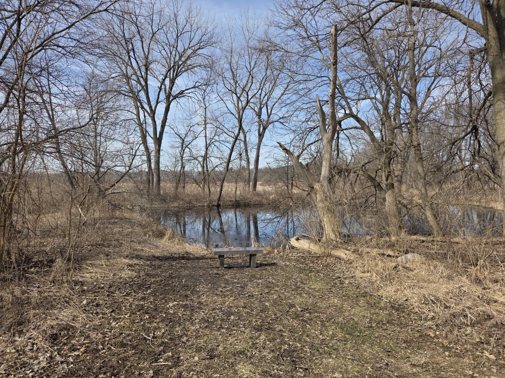 Outlook