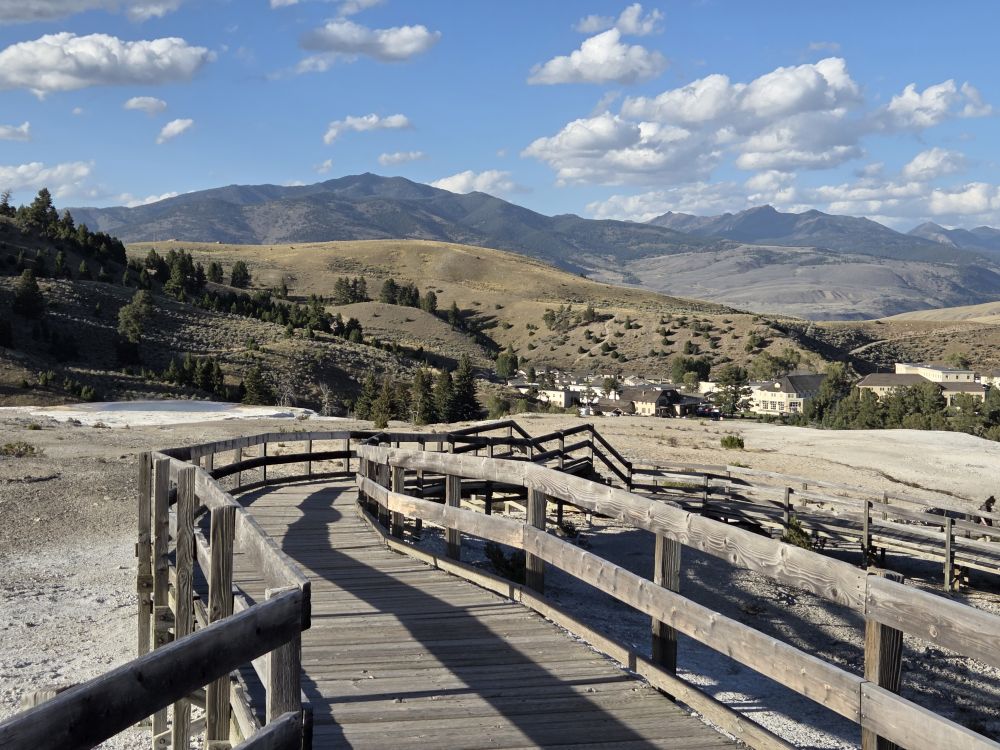 Lower Terrace Board Walks