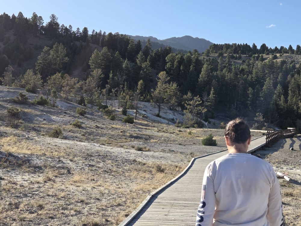 Lower Terrace Board Walks