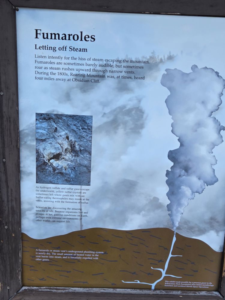 Norris Geyser Basin