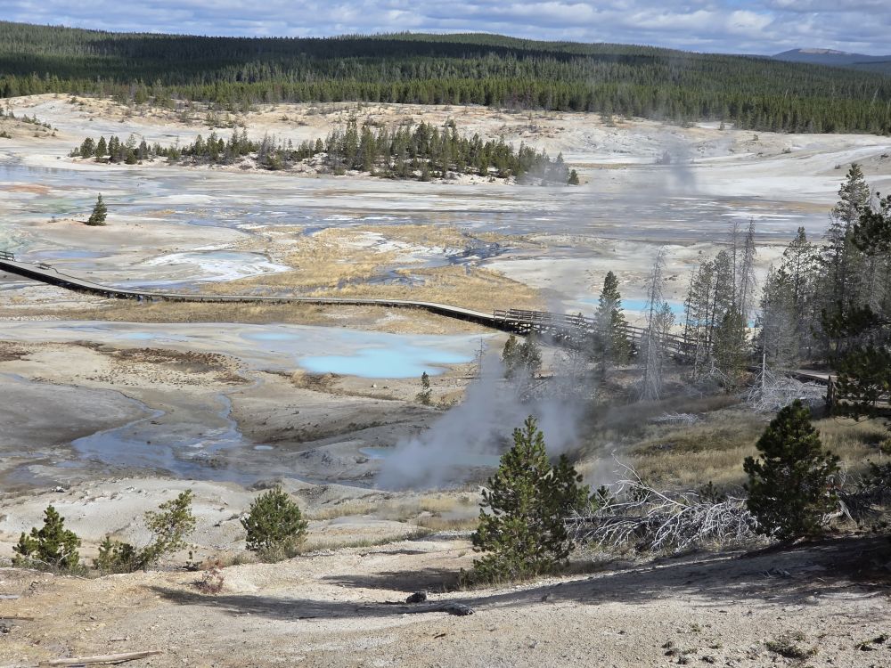 Norris Geyser Basin