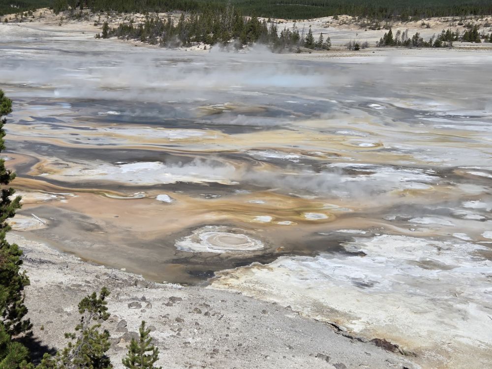 Norris Geyser Basin